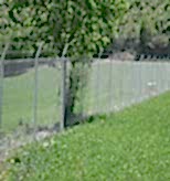 duz-beton-direkli-galv-tel